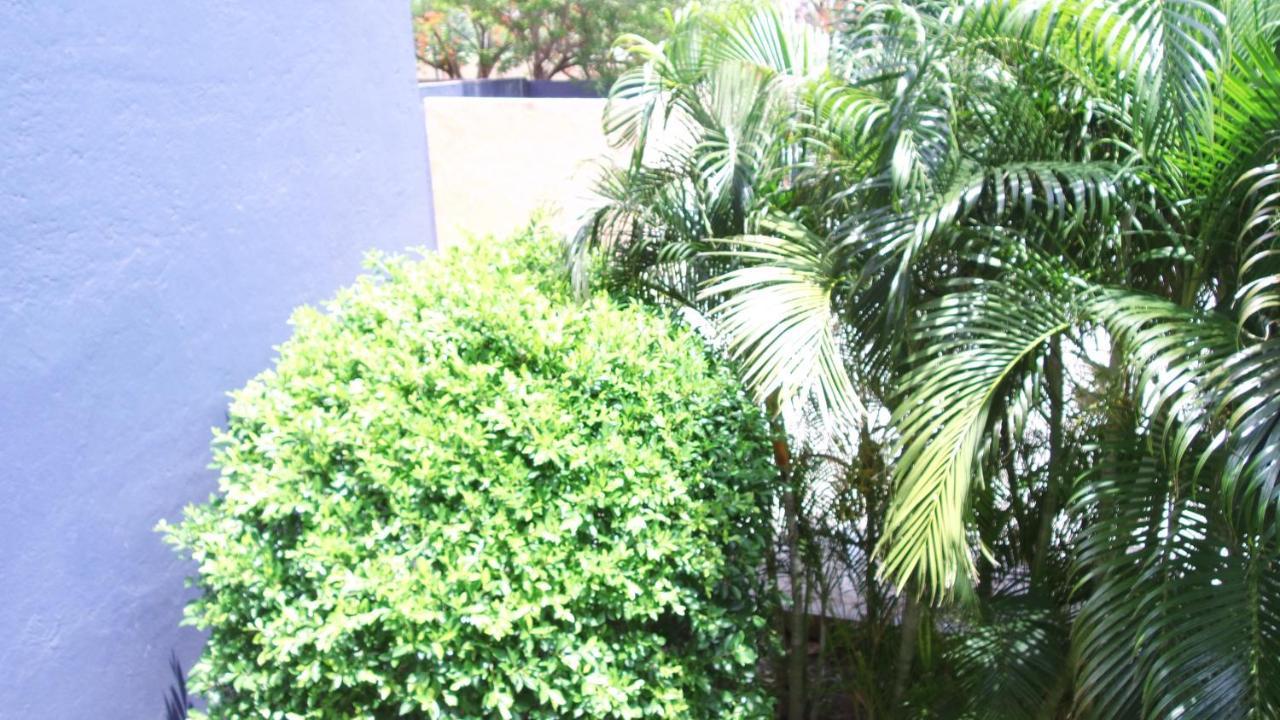 Hotel Calli Santo Domingo Tehuantepec Esterno foto